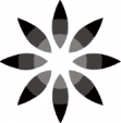 Invisalign Icon